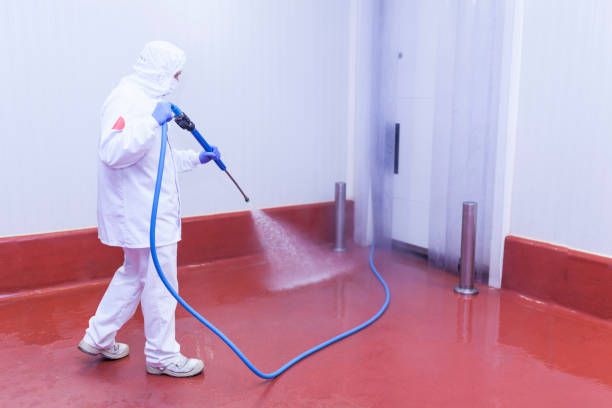Reliable Durant, IA Pressure Washing Services Solutions